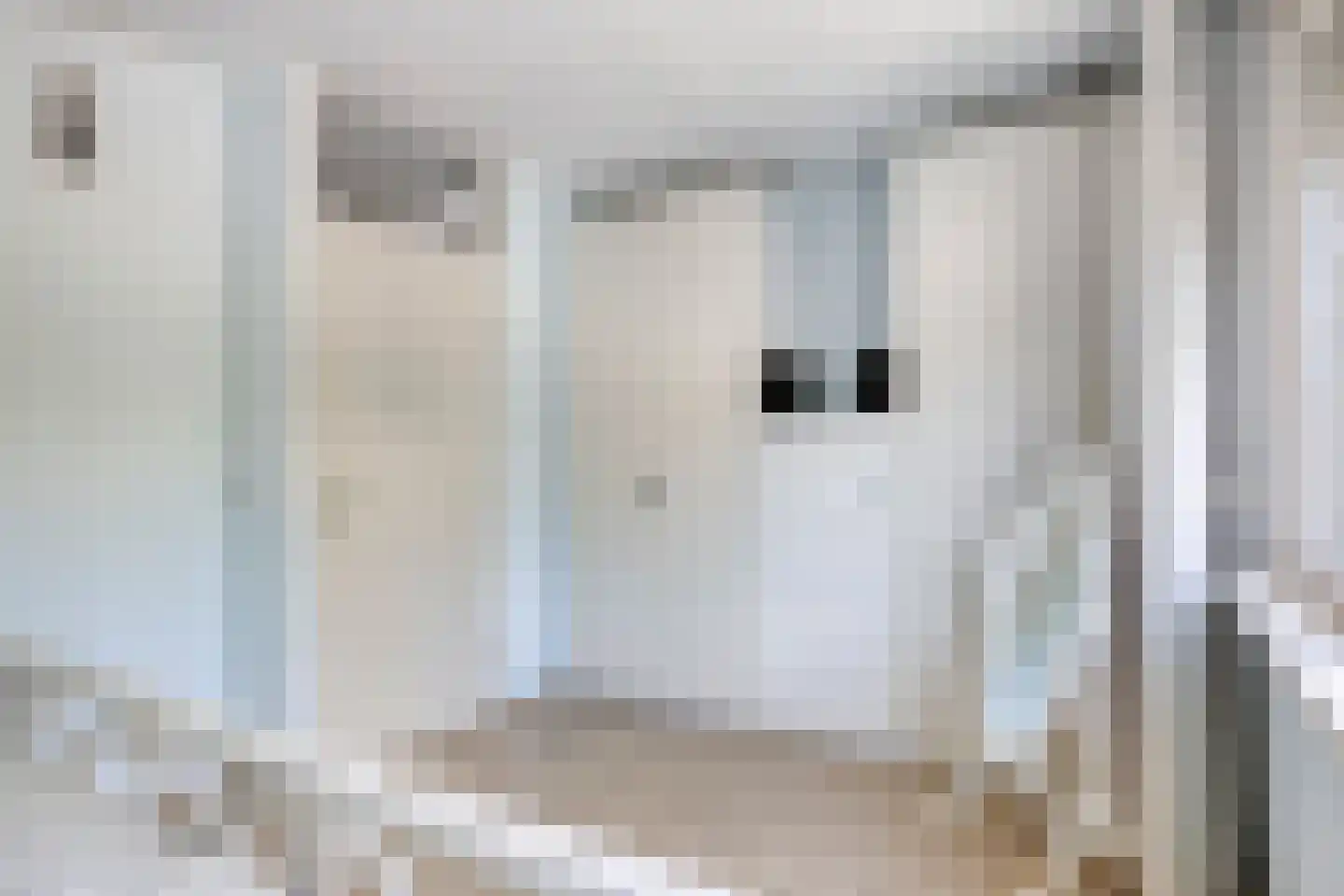 Weegbree 102 Best thumbnail 17