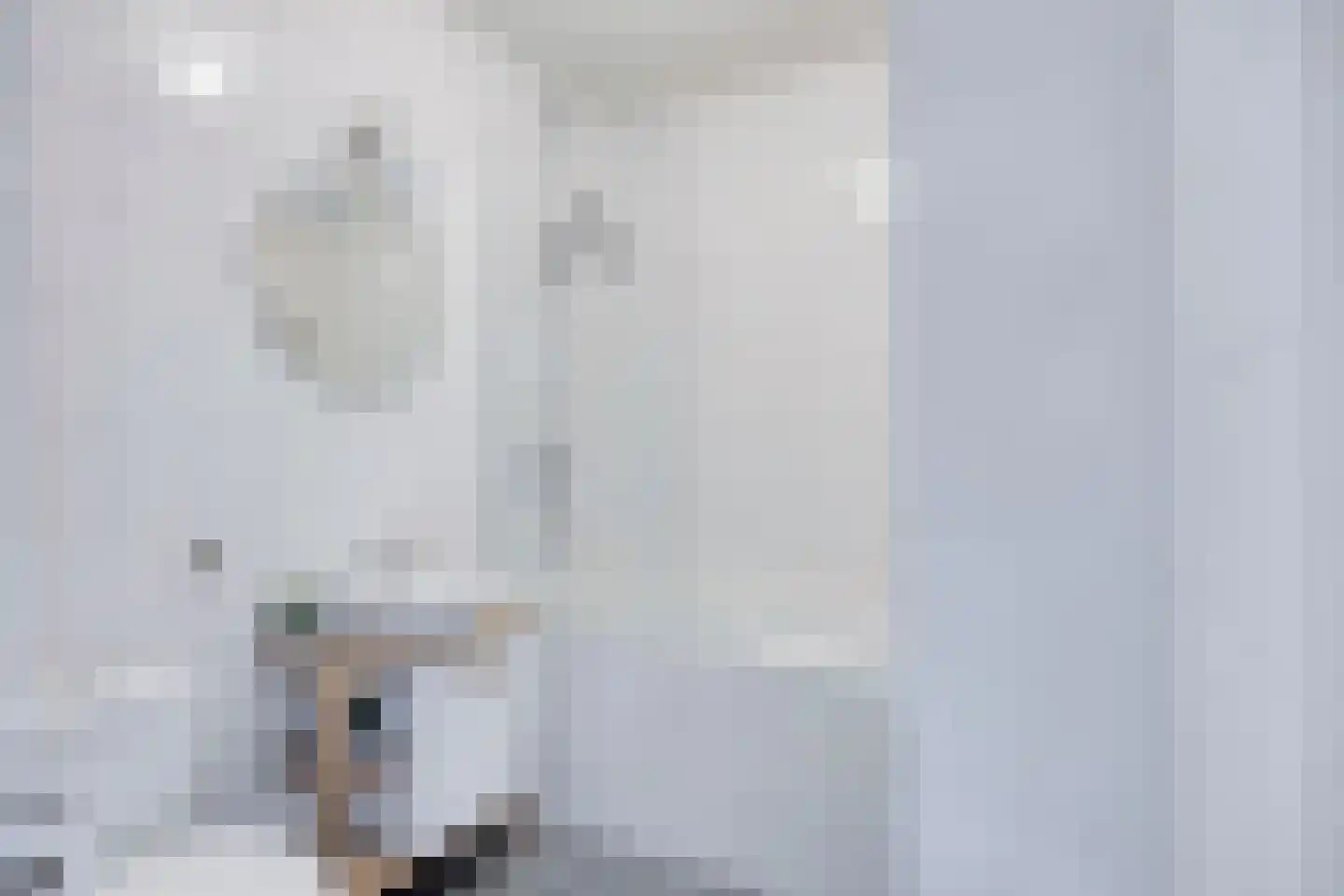 Weegbree 102 Best thumbnail 22