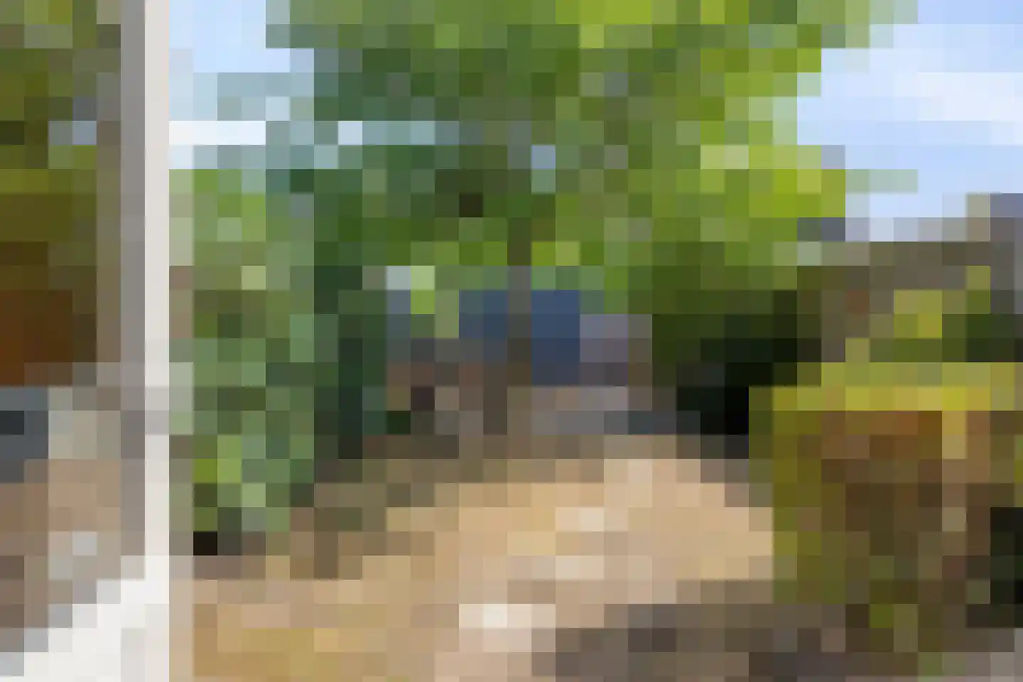 Weegbree 102 Best thumbnail 27