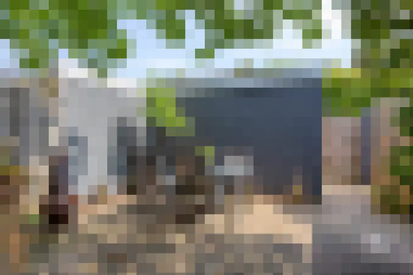 Weegbree 102 Best thumbnail 29