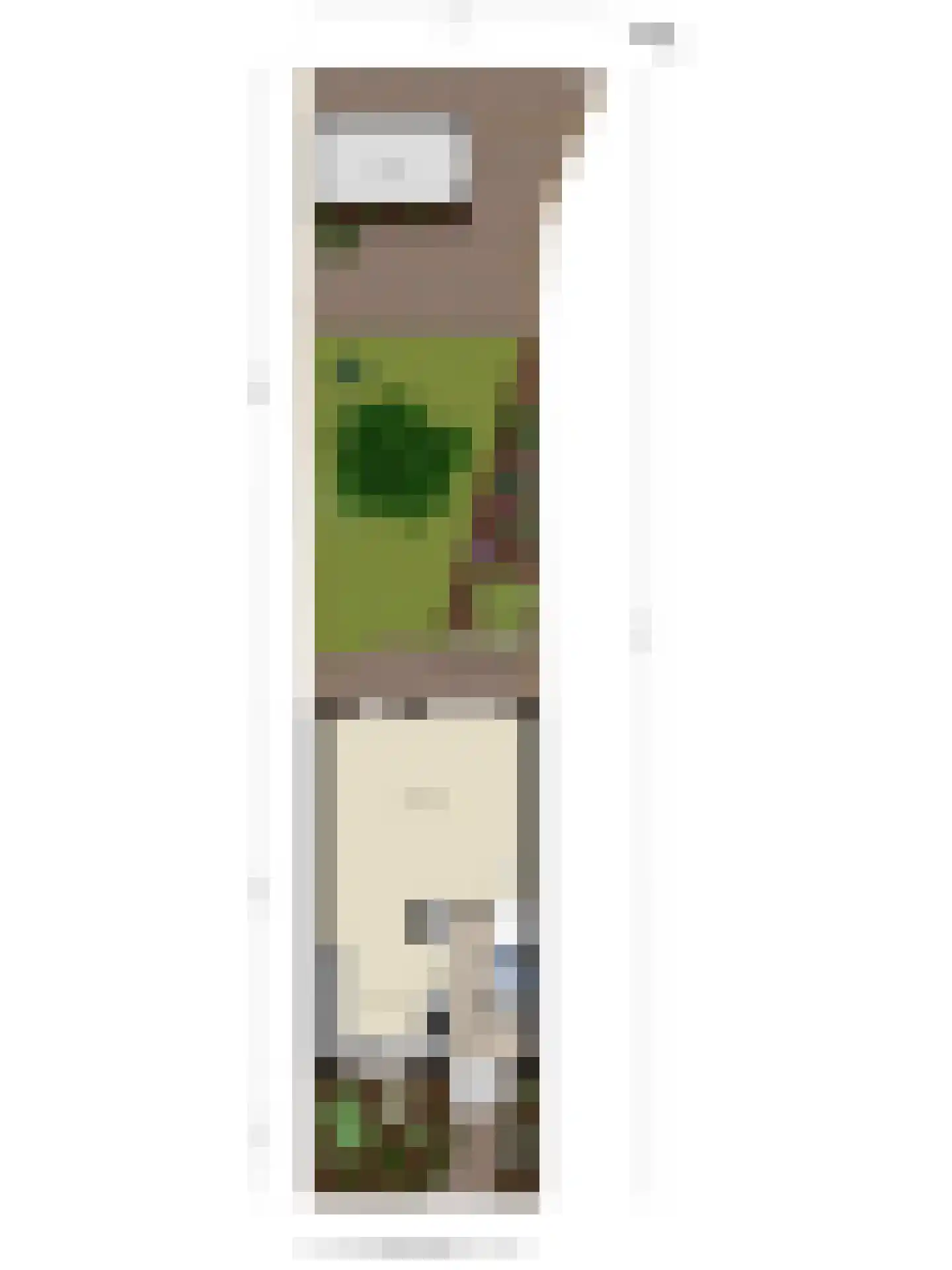 Weegbree 102 Best thumbnail 35