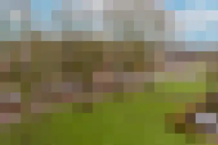 Weegbree 105 Mijdrecht thumbnail 22