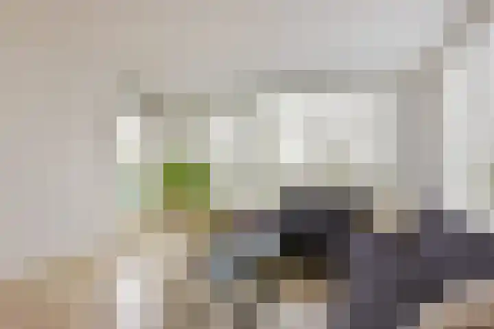 Weegbree 105 Mijdrecht thumbnail 5