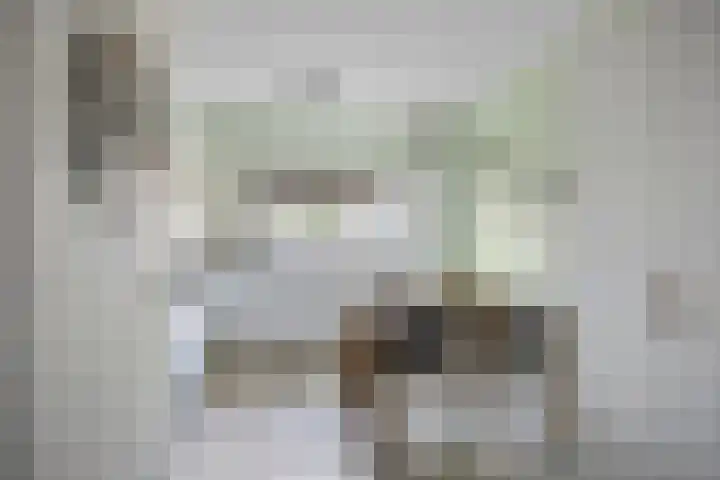 Weegbree 106 Best thumbnail 12
