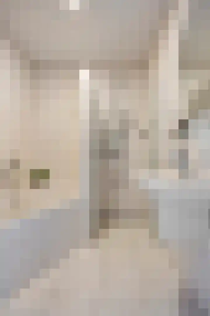 Weegbree 106 Best thumbnail 19