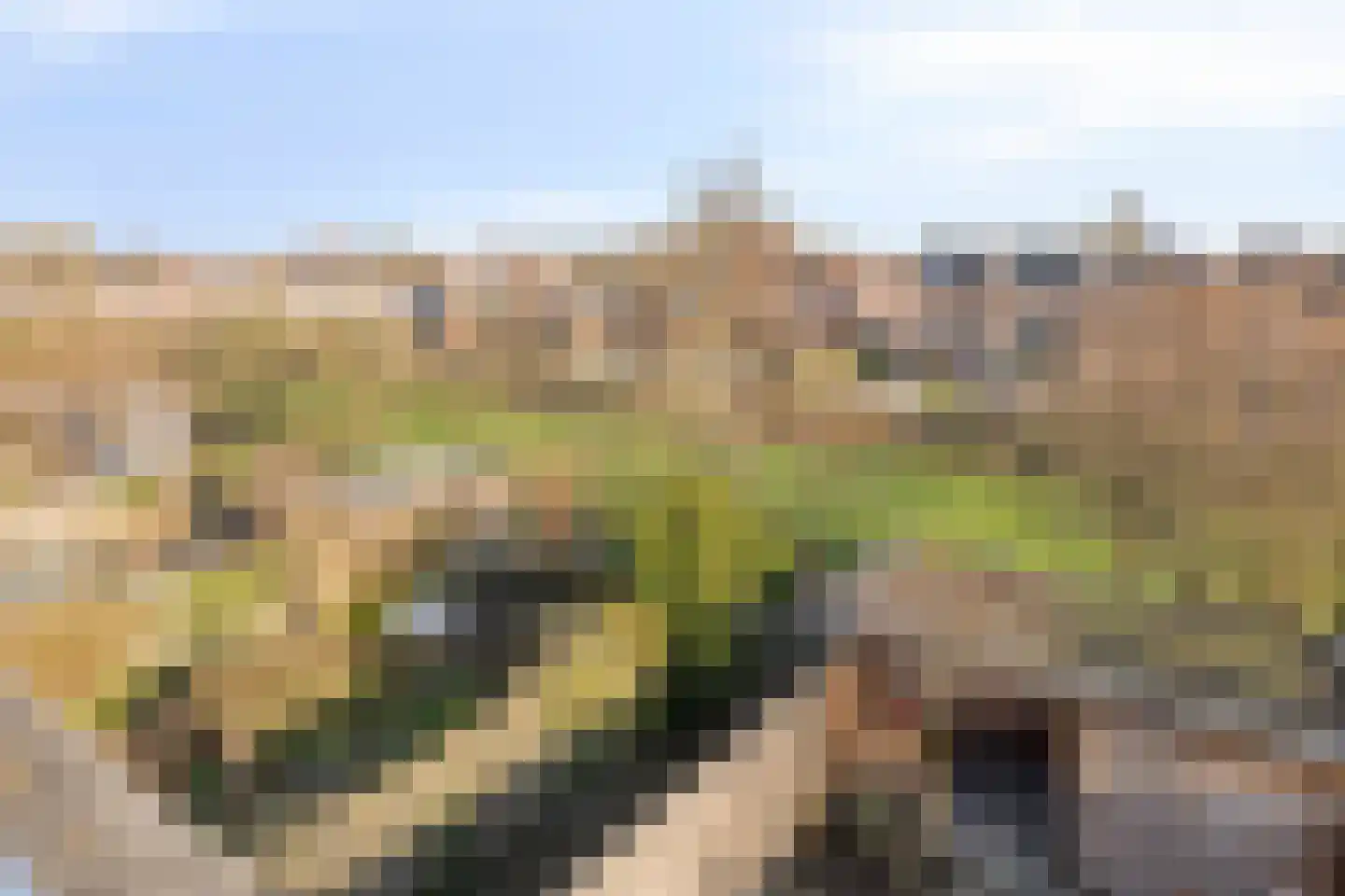 Weegbree 109 IJsselstein thumbnail 36