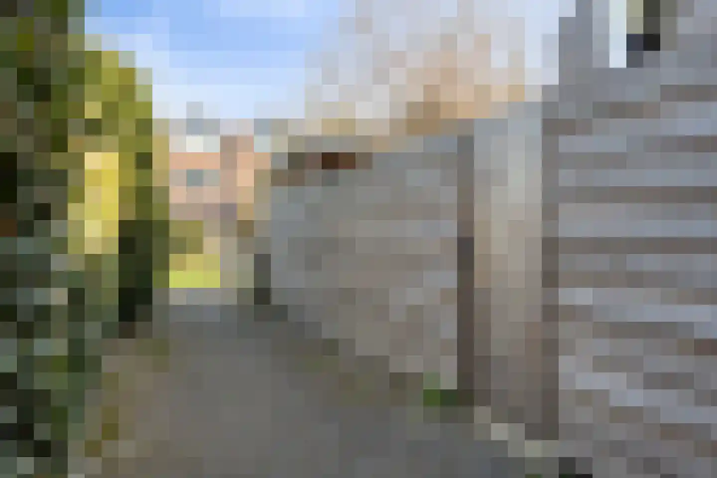 Weegbree 109 IJsselstein thumbnail 44