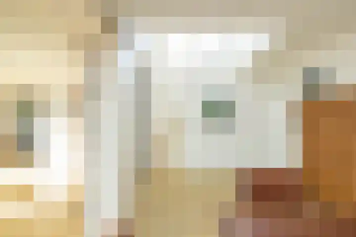 Weegbree 11 Hoogeveen thumbnail 29
