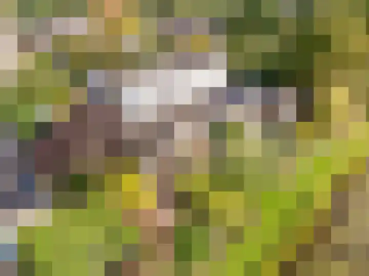 Weegbree 11 Hoogeveen thumbnail 45