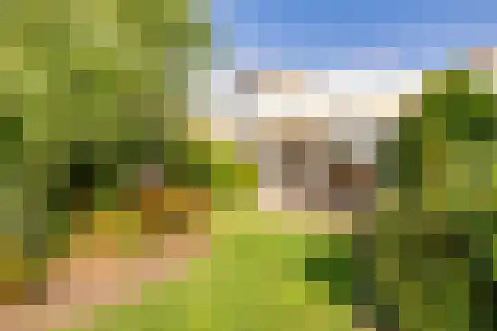 Weegbree 11 Hoogeveen thumbnail 47