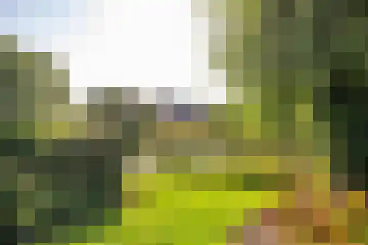 Weegbree 11 Hoogeveen thumbnail 49