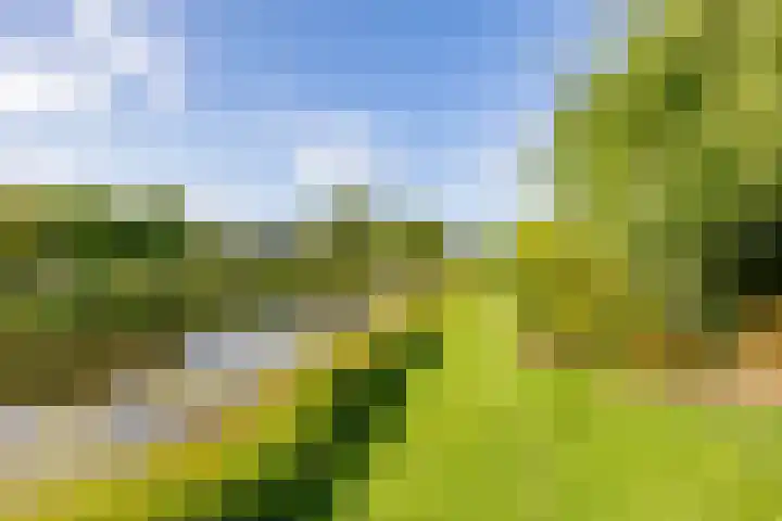 Weegbree 11 Hoogeveen thumbnail 51