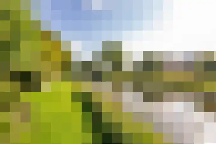 Weegbree 11 Hoogeveen thumbnail 52