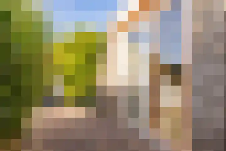 Weegbree 11 Hoogeveen thumbnail 53