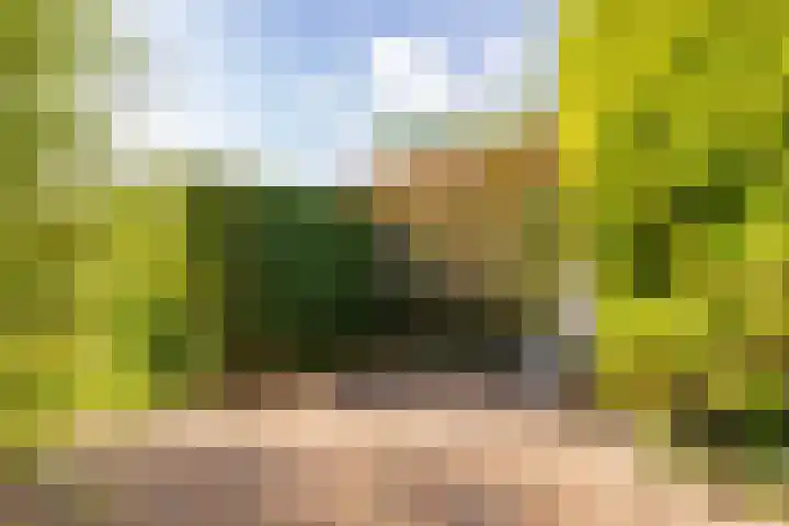 Weegbree 11 Hoogeveen thumbnail 54