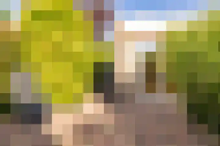 Weegbree 11 Hoogeveen thumbnail 55