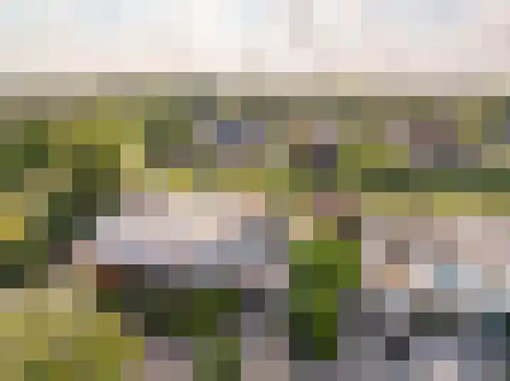 Weegbree 11 Hoogeveen thumbnail 58