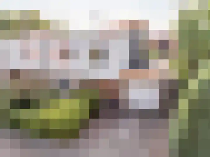 Weegbree 11 Hoogeveen thumbnail 59