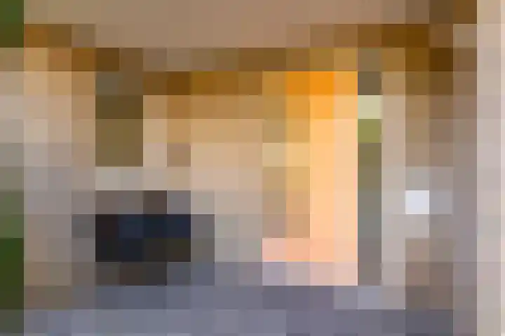 Weegbree 11 Hoogeveen thumbnail 6