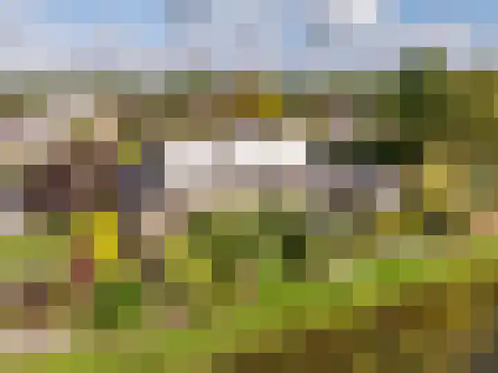 Weegbree 11 Hoogeveen thumbnail 61