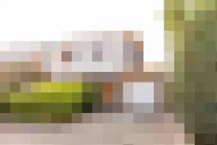 Weegbree 11 Hoogeveen thumbnail 62