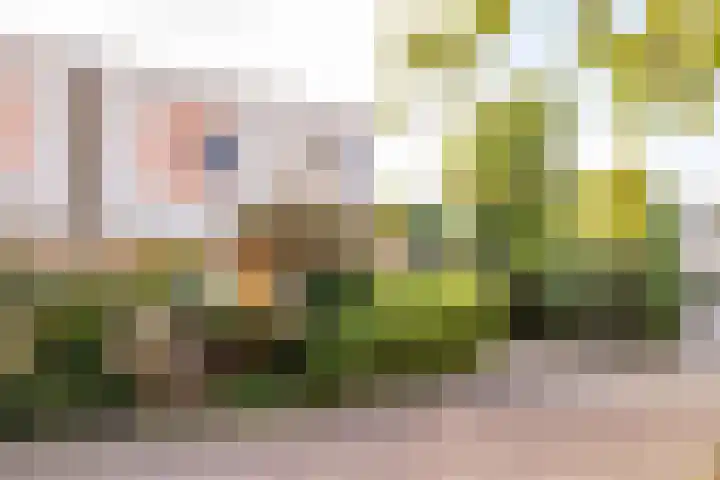Weegbree 11 Hoogeveen thumbnail 63