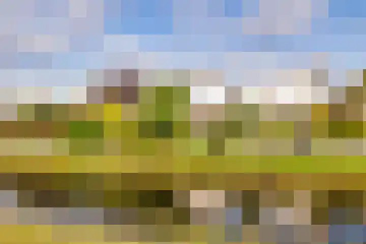Weegbree 11 Hoogeveen thumbnail 64