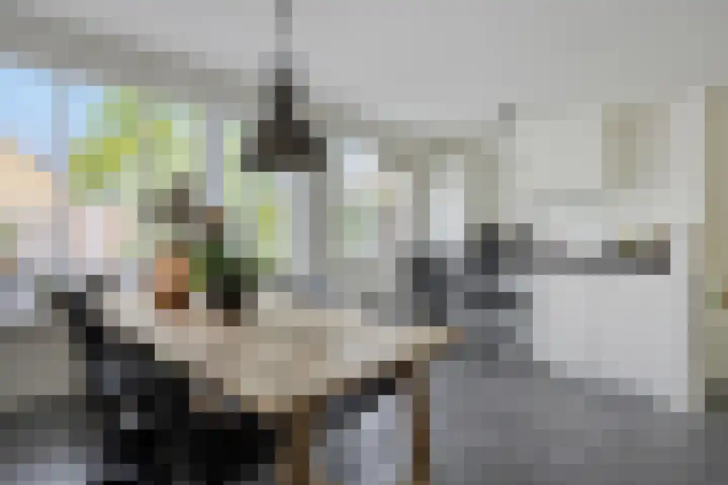 Weegbree 115 Krimpen aan den IJssel thumbnail 11