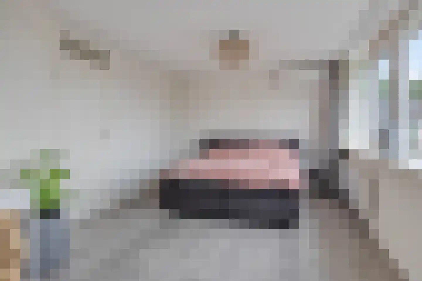 Weegbree 115 Krimpen aan den IJssel thumbnail 19