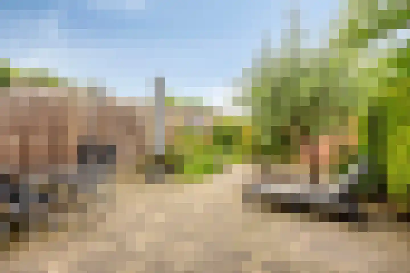 Weegbree 115 Krimpen aan den IJssel thumbnail 38
