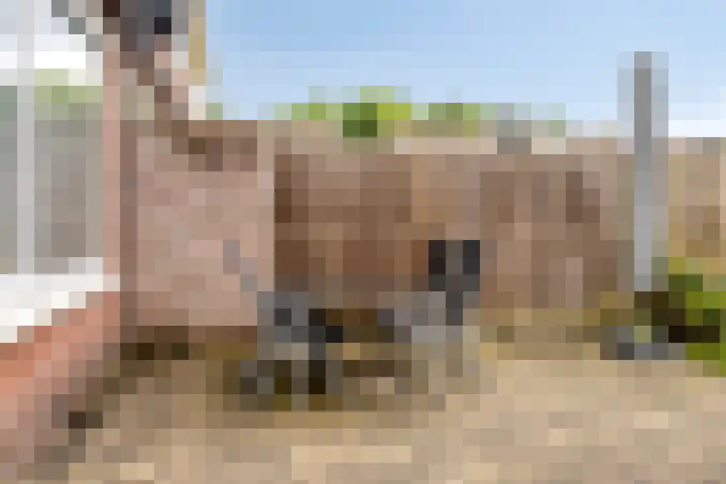 Weegbree 115 Krimpen aan den IJssel thumbnail 39