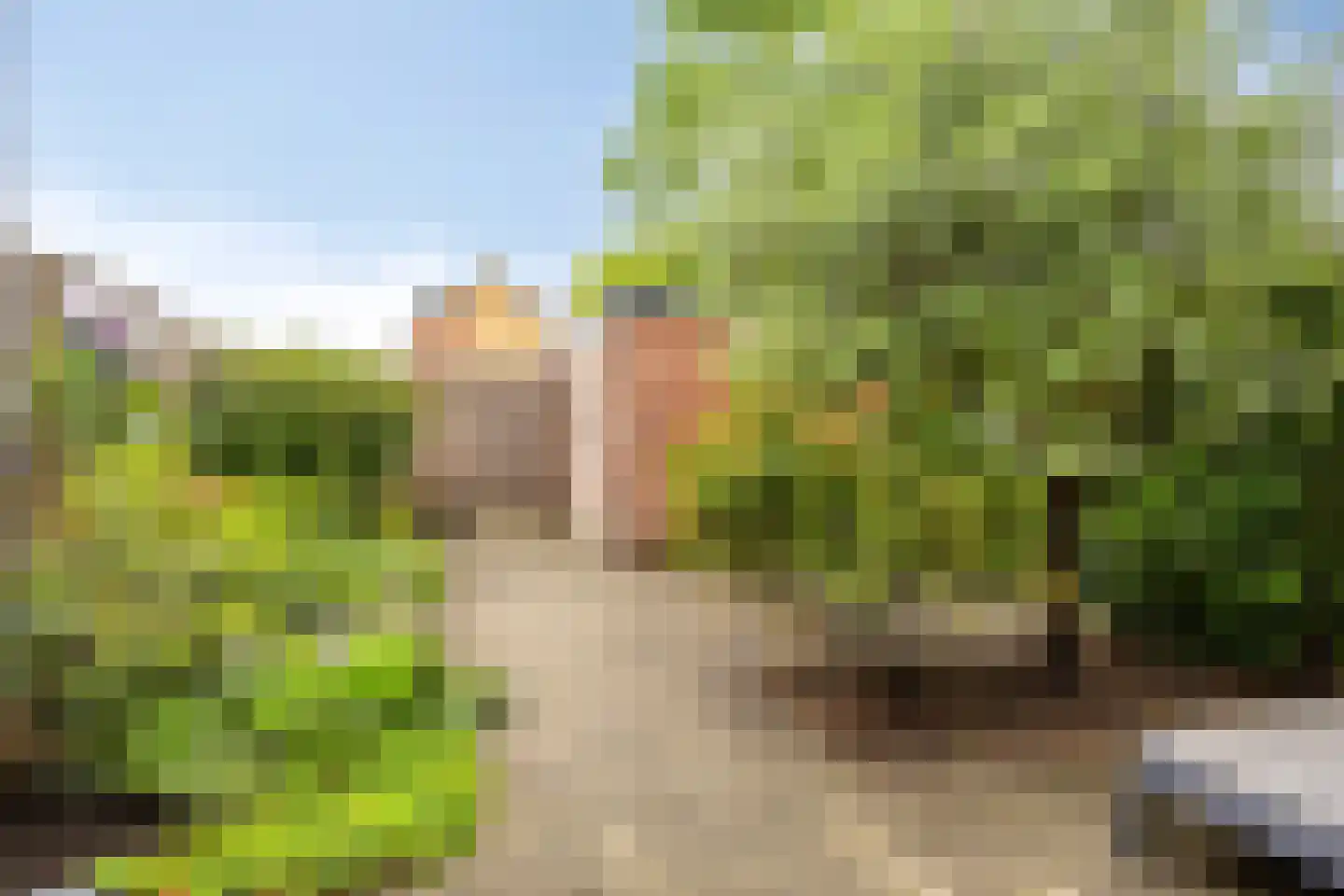 Weegbree 115 Krimpen aan den IJssel thumbnail 40