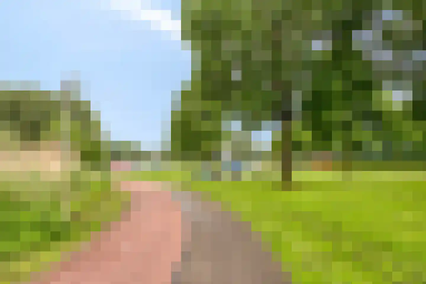 Weegbree 115 Krimpen aan den IJssel thumbnail 44