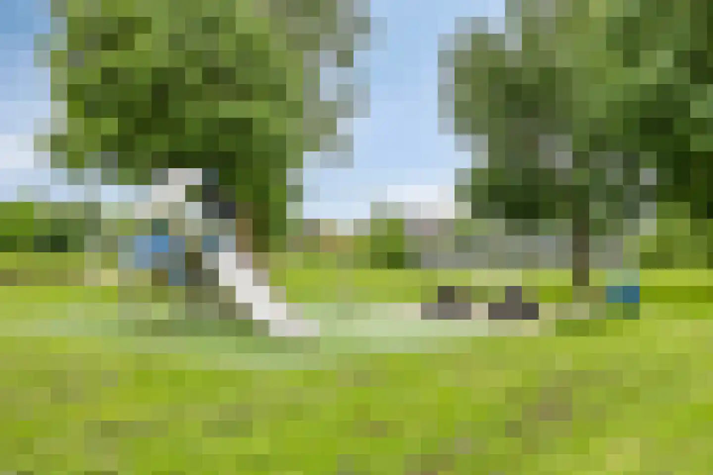 Weegbree 115 Krimpen aan den IJssel thumbnail 45