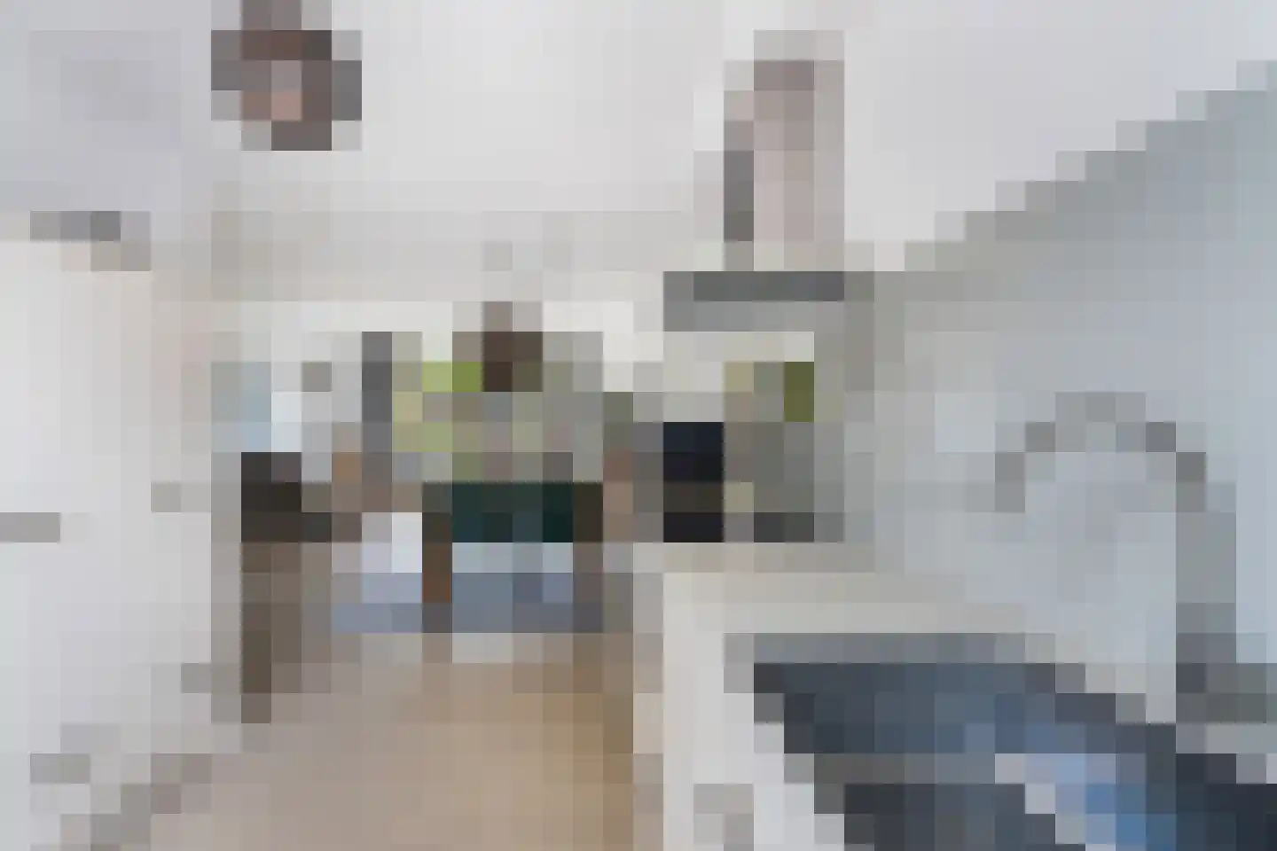 Weegbree 115 Pijnacker thumbnail 16