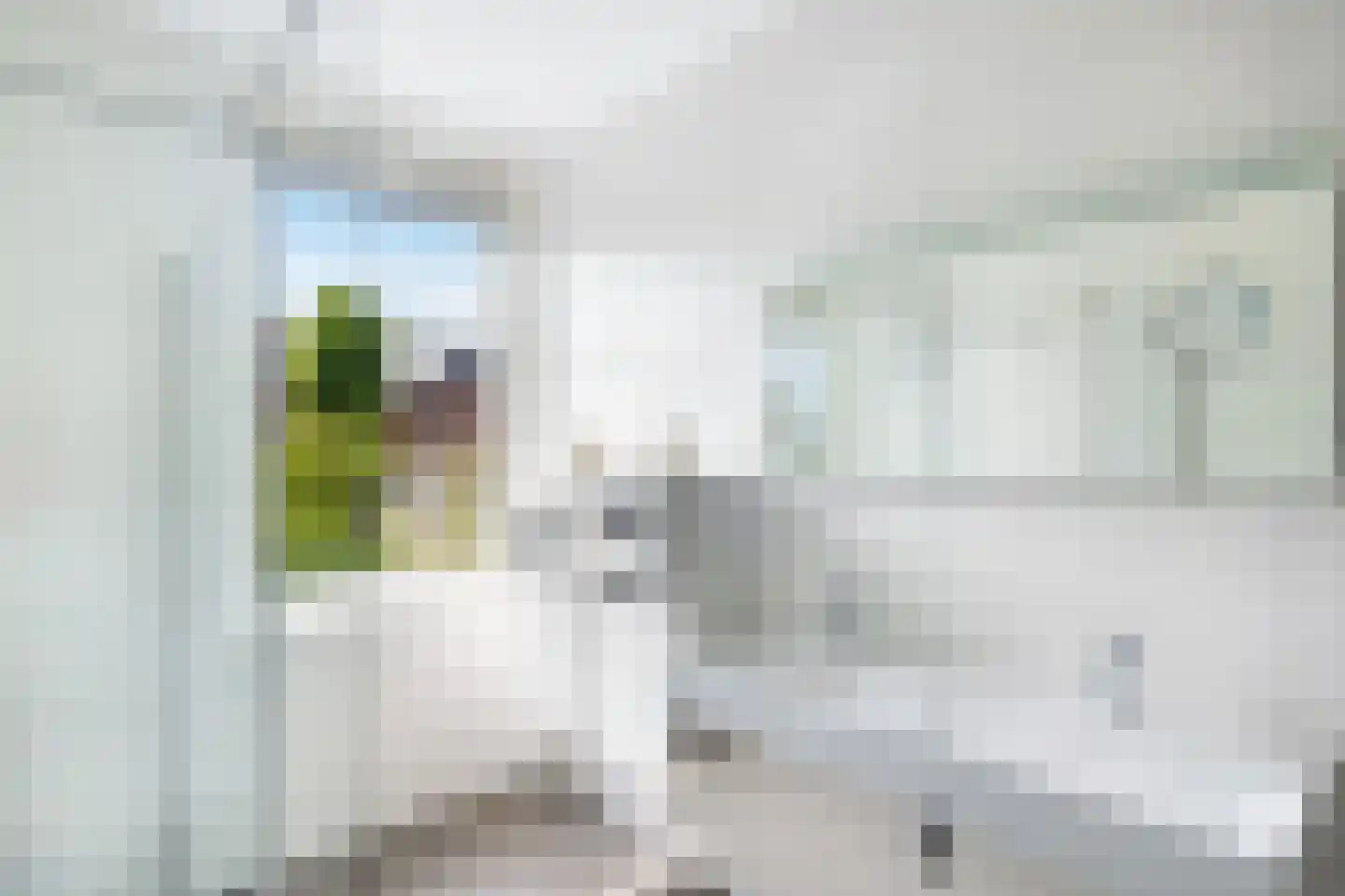Weegbree 115 Pijnacker thumbnail 26