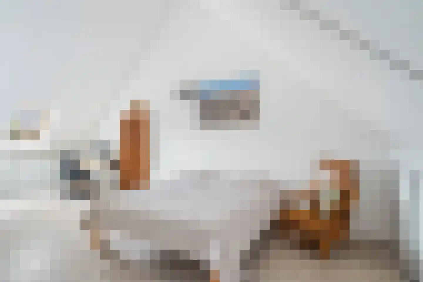 Weegbree 115 Pijnacker thumbnail 30