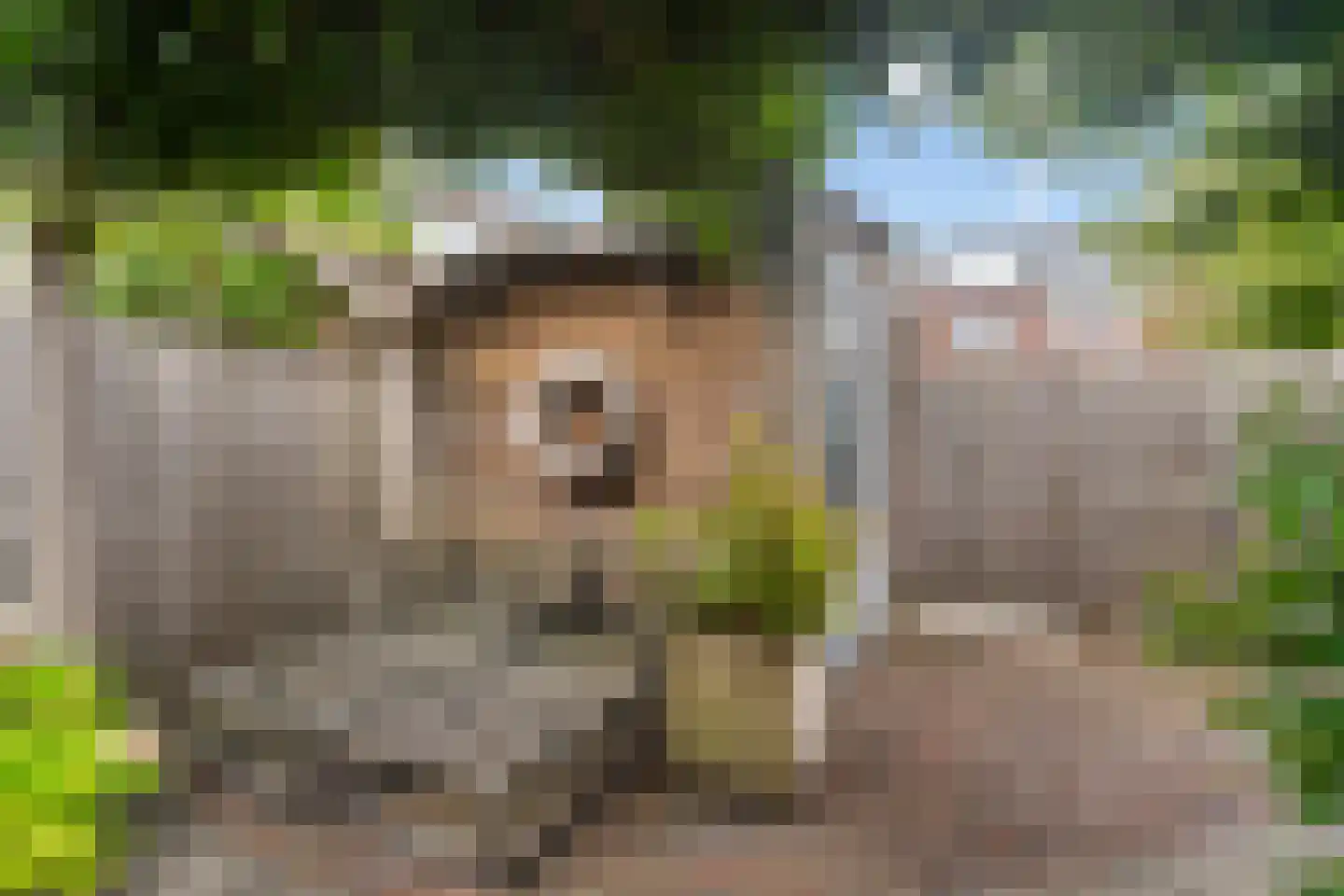 Weegbree 115 Pijnacker thumbnail 36