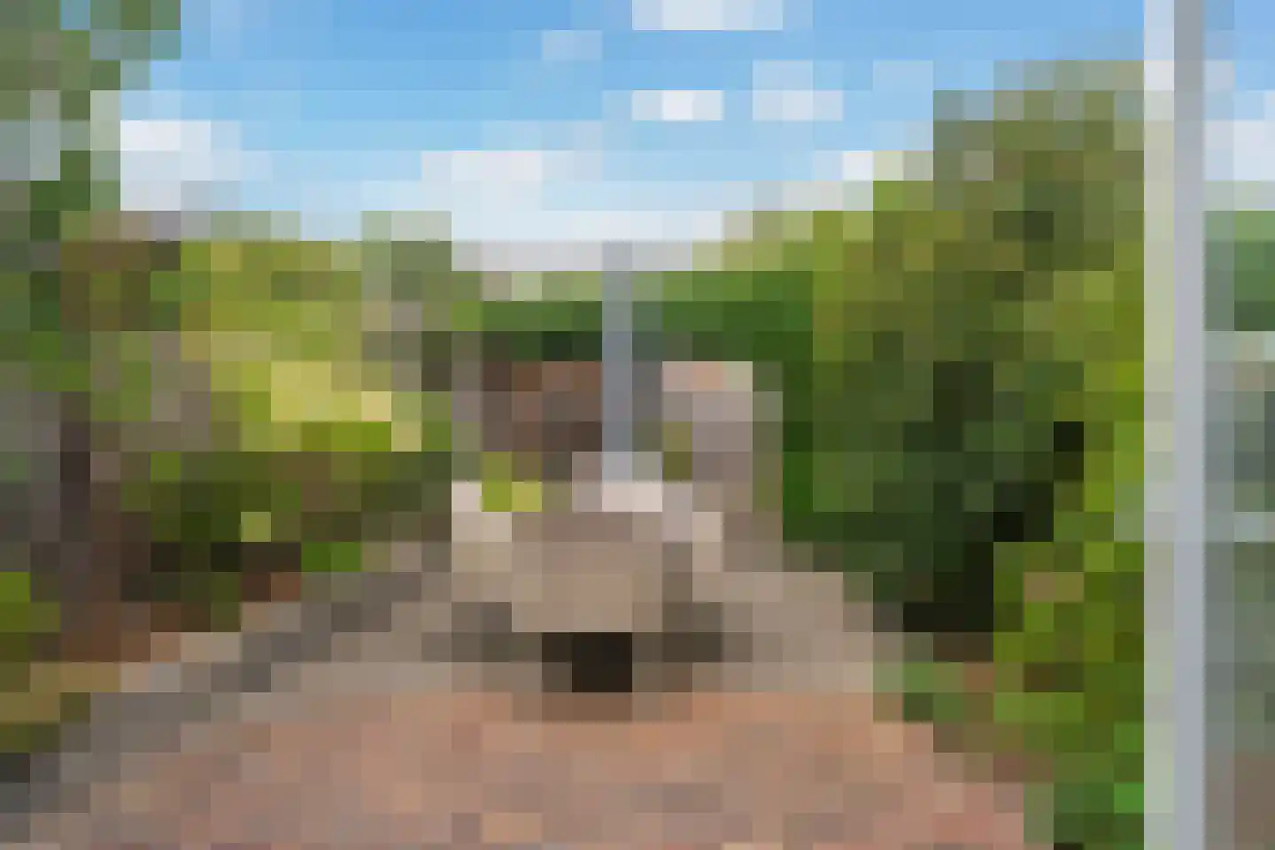 Weegbree 115 Pijnacker thumbnail 6
