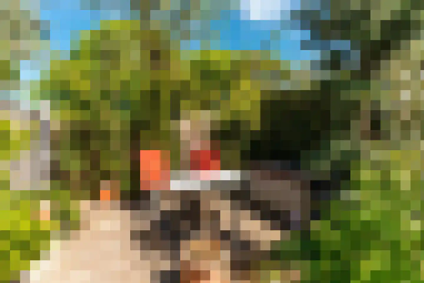 Weegbree 12 Huizen thumbnail 27
