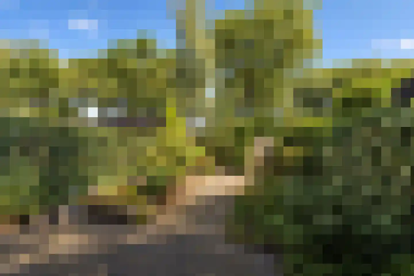 Weegbree 12 Huizen thumbnail 29