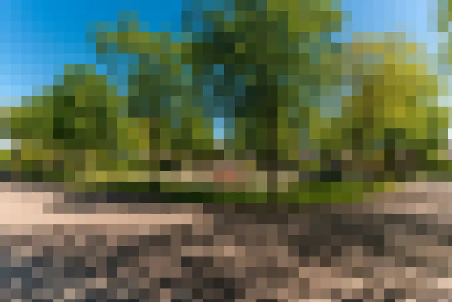 Weegbree 12 Huizen thumbnail 29