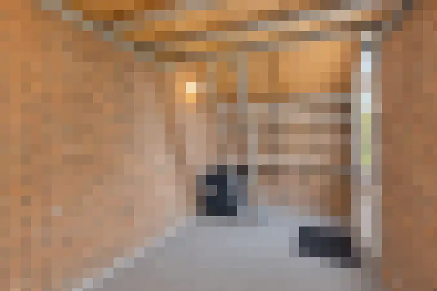 Weegbree 12 Huizen thumbnail 7