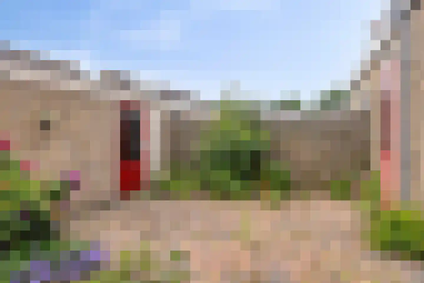 Weegbree 12 Kampen thumbnail 31