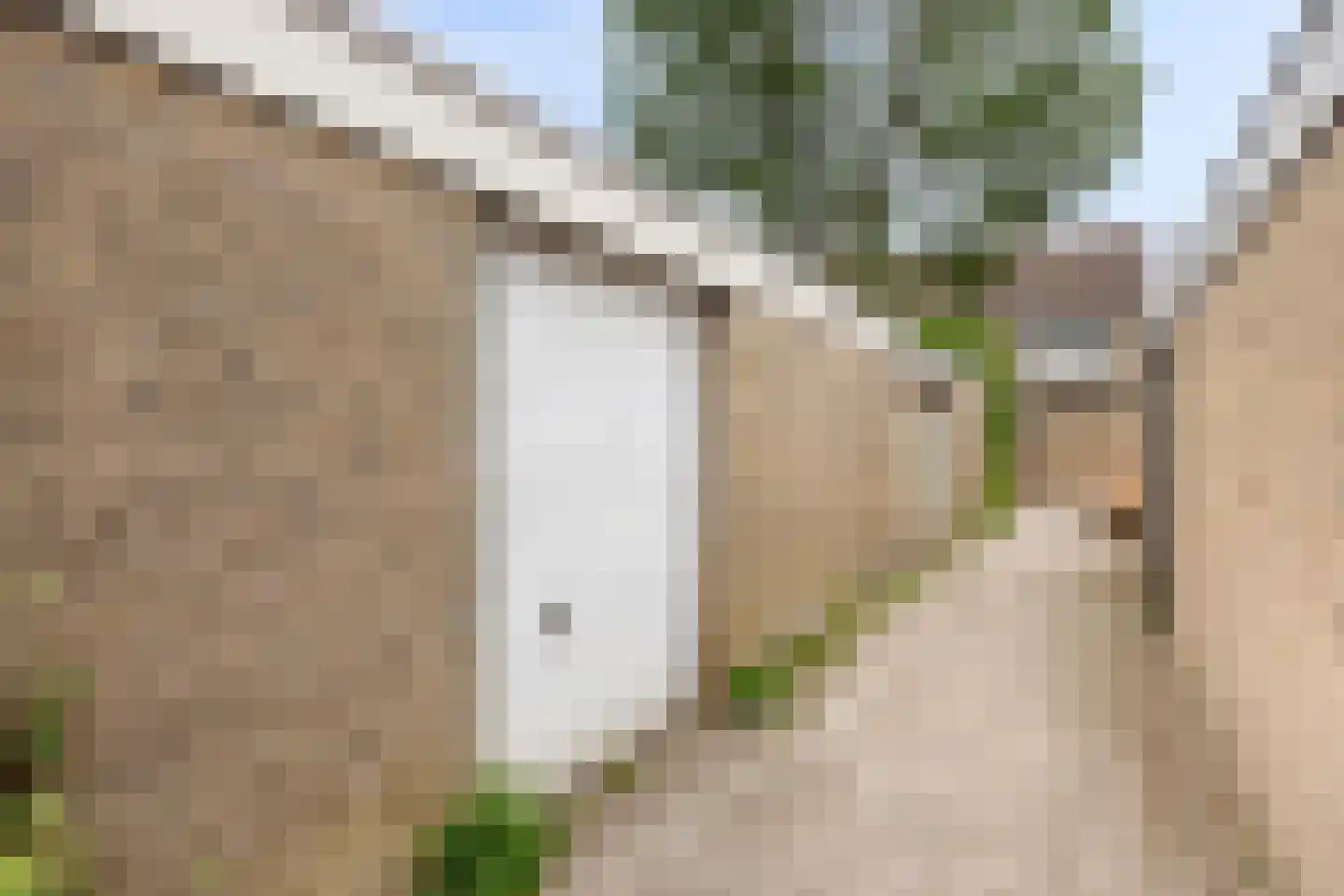 Weegbree 12 Kampen thumbnail 32