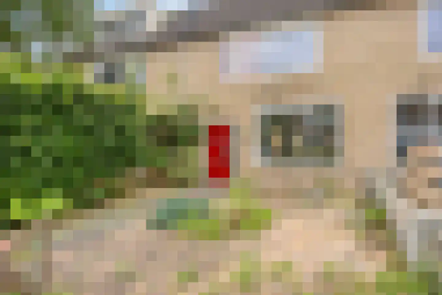 Weegbree 12 Kampen thumbnail 38