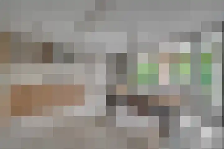 Weegbree 12 Venlo thumbnail 13