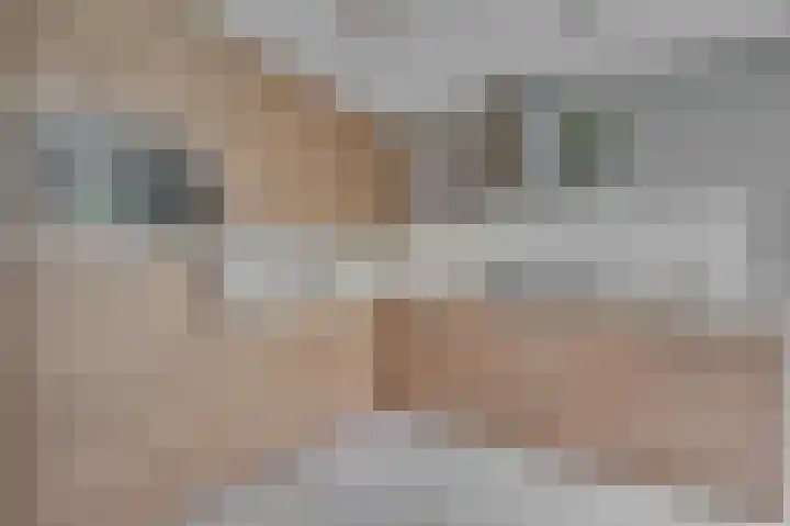 Weegbree 12 Venlo thumbnail 15