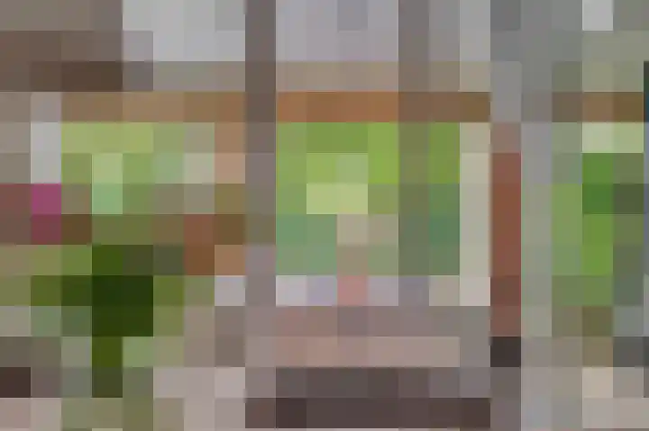 Weegbree 12 Venlo thumbnail 33
