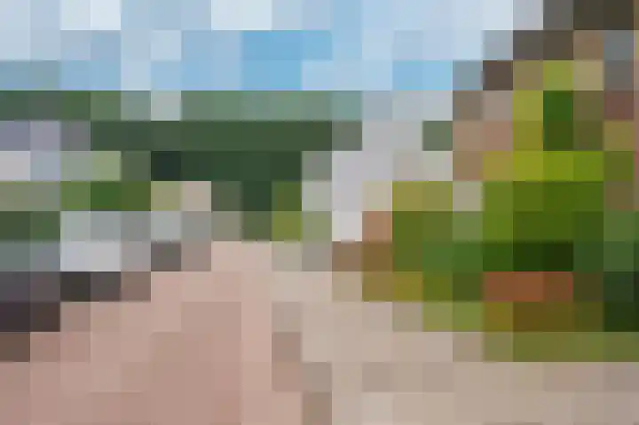 Weegbree 12 Venlo thumbnail 42